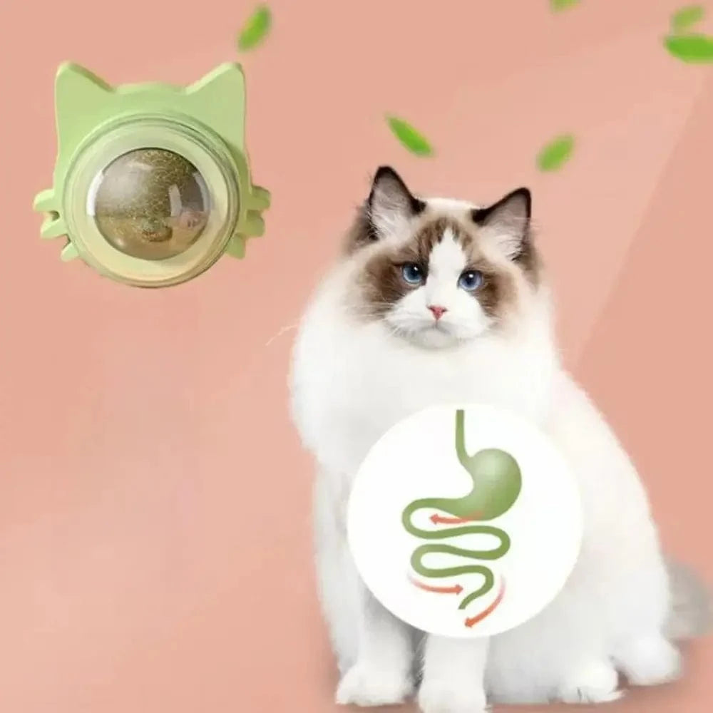 Boule herbe à chat murale - Griffe d'Amour