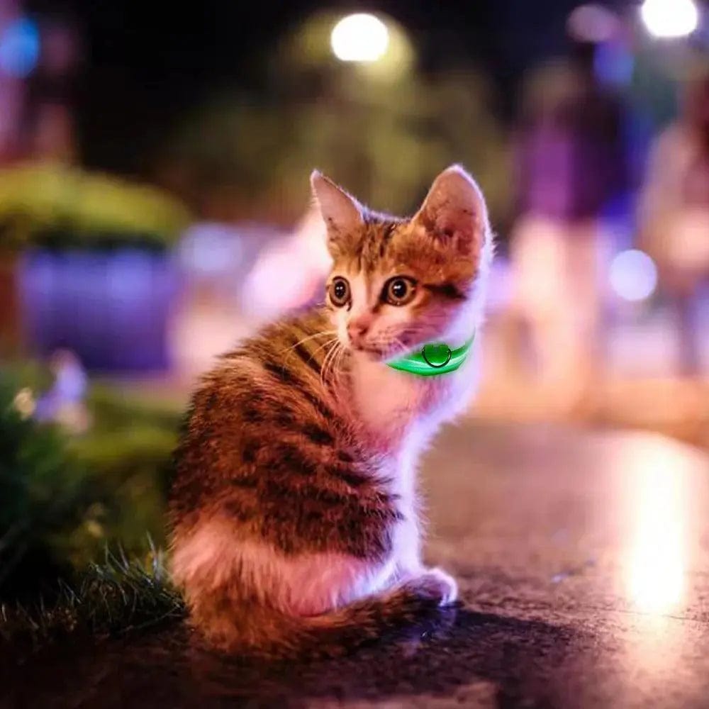 Collier chat lumineux Griffe d'Amour