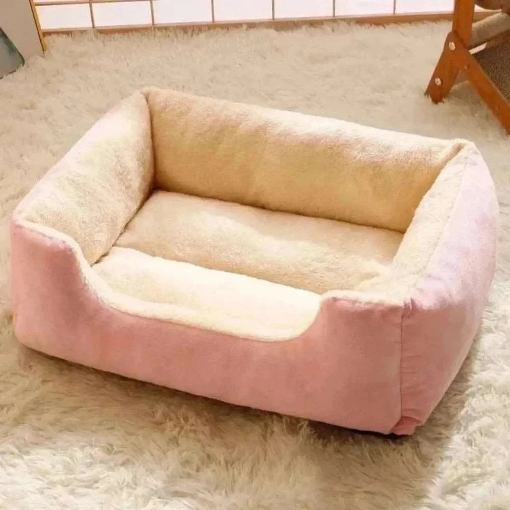 Coussin chat rectangulaire - Griffe d'Amour