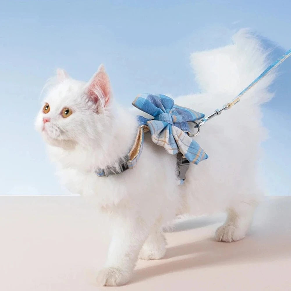 Harnais chat design - Promenade sécurisée et stylée Griffe d'Amour