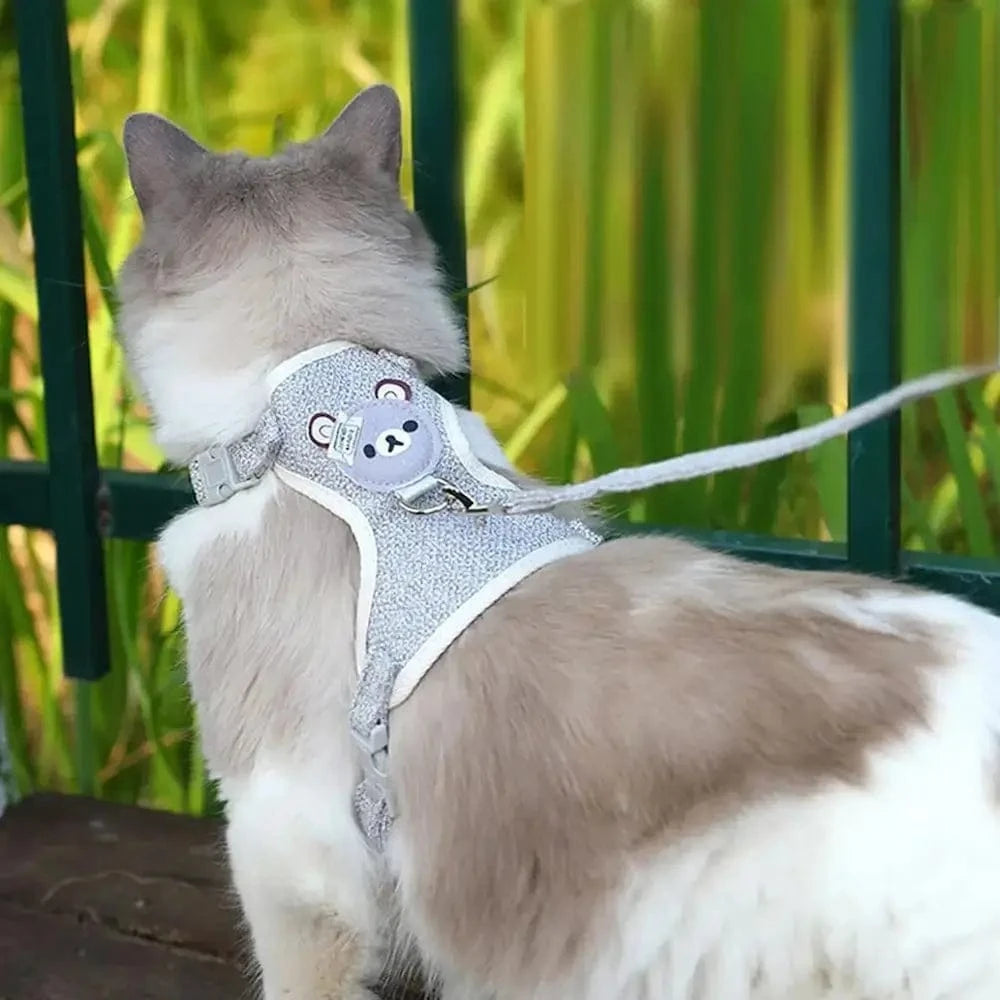 Harnais chaton ajustable - Liberté de mouvement Griffe d'Amour