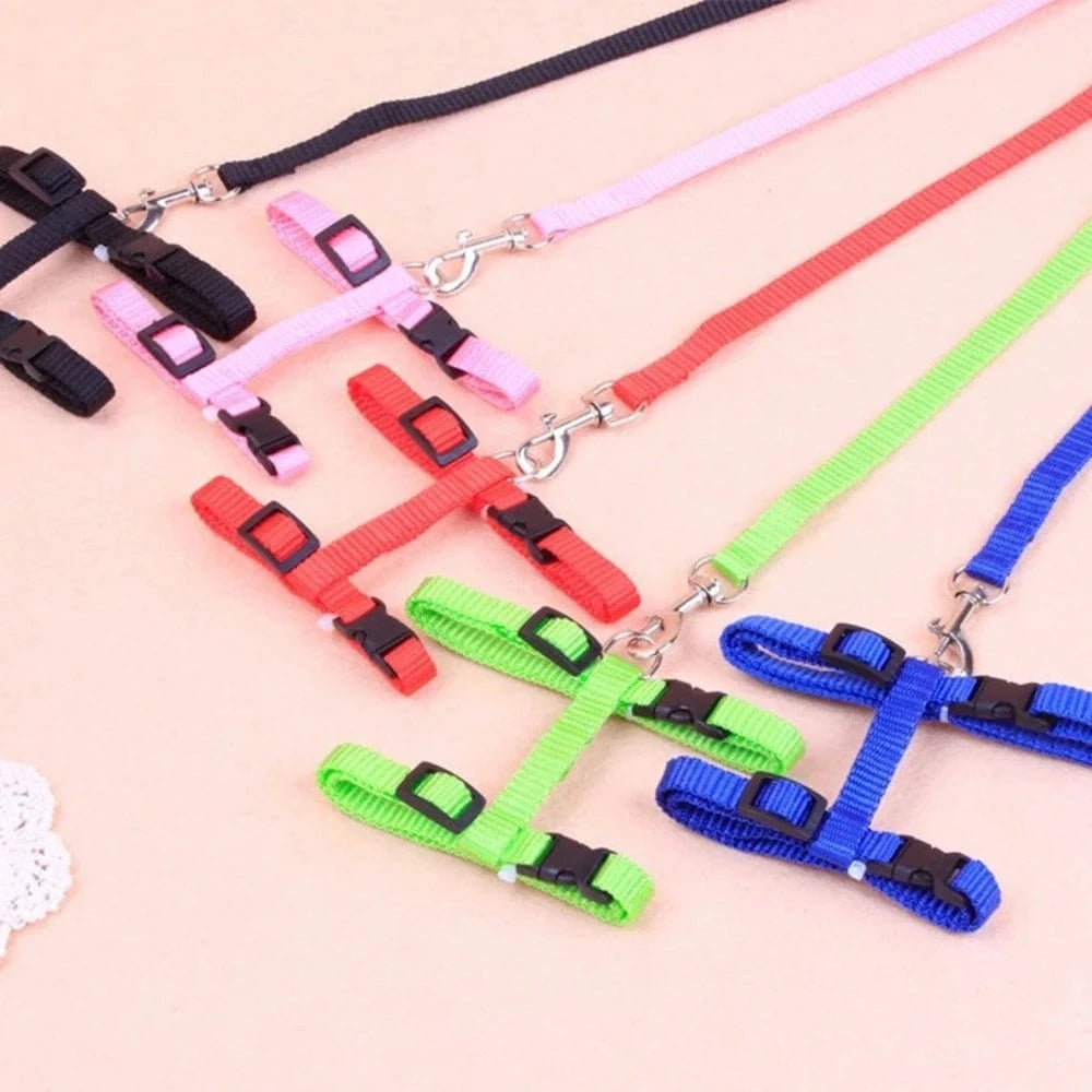 Harnais laisse chaton - Confortable en nylon doux Griffe d'Amour