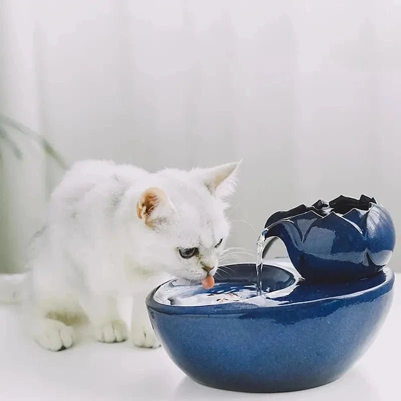 Chat blanc qui boit à l'abreuvoir chat céramique CeramiPurr bleu en forme de lotus