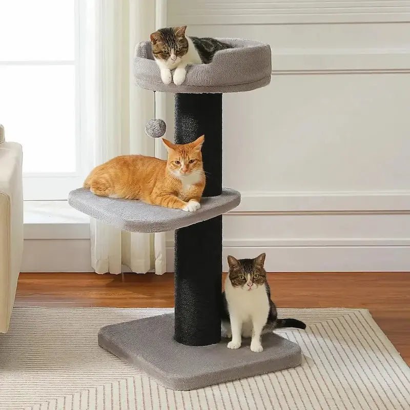 Arbre à chat avec griffoir - Anti griffes canapés | ChatZen