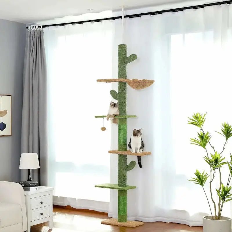 Arbre à chat cactus Felipricks du sol au plafond, vert, avec plateformes et chats