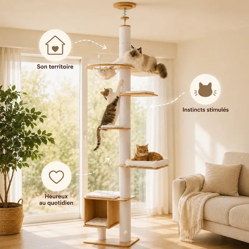 Arbre à chat du sol au plafond - Stable | CatVera