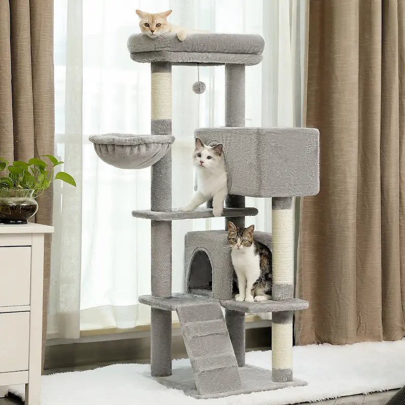 Arbre à chat luxe multi-niveaux – Tour premium | RoyalCat