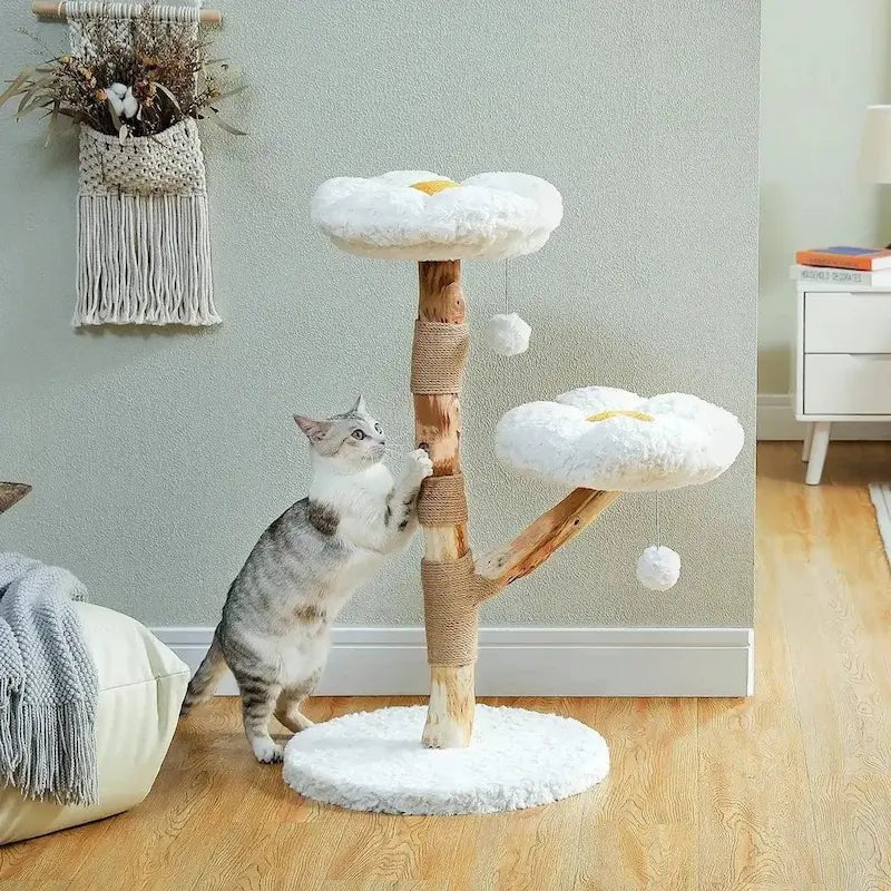 Arbre à chat nuage - Confort aérien | Miaosoft
