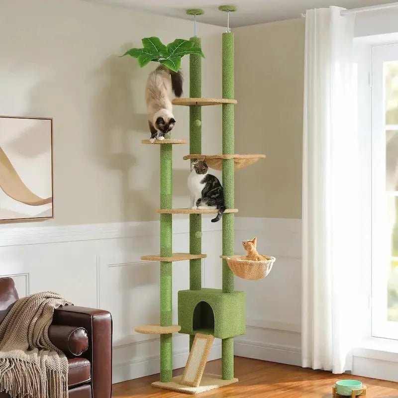 Arbre à chat plafond Catvertikal vert avec plateformes, paniers, niche et chats