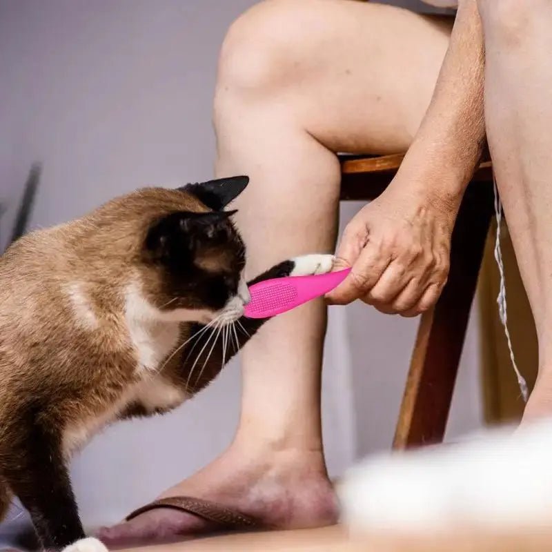 Brosse menton chat - Nettoyage doux & précis | CleanMiaou