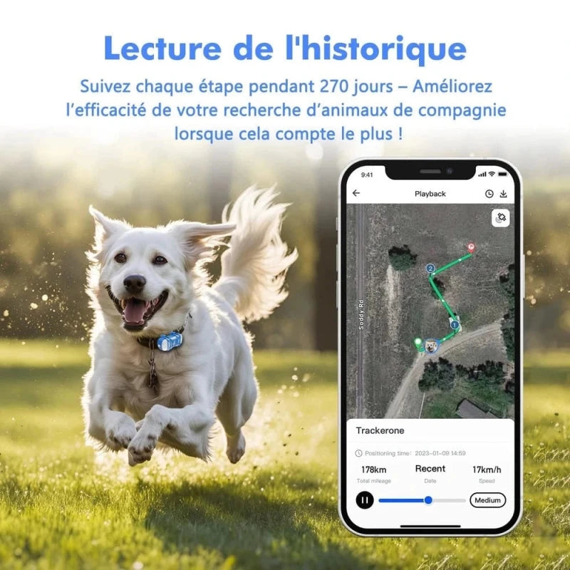 Collier GPS chat avec abonnement - Suivi live | PawLink