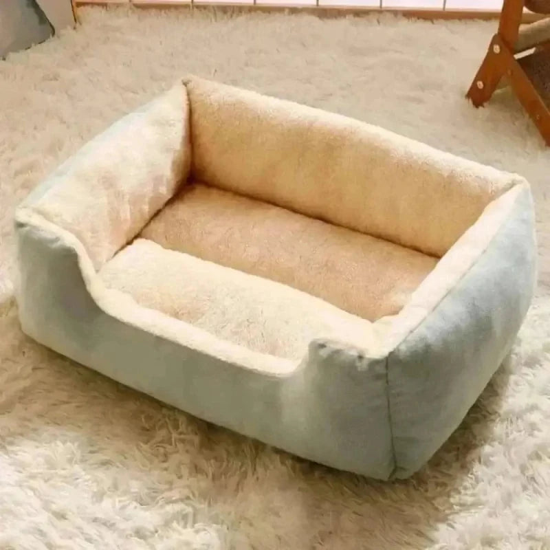 Coussin rectangulaire pour chat - Confort optimal | CozyRect