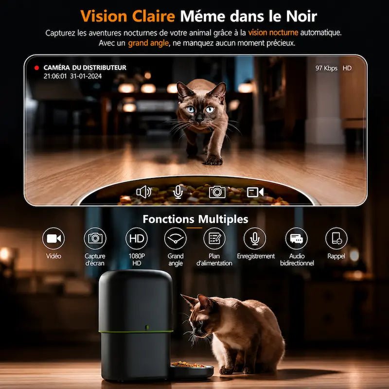 Distributeur de croquettes chat caméra intelligente - Zéro stress | MiaouTech