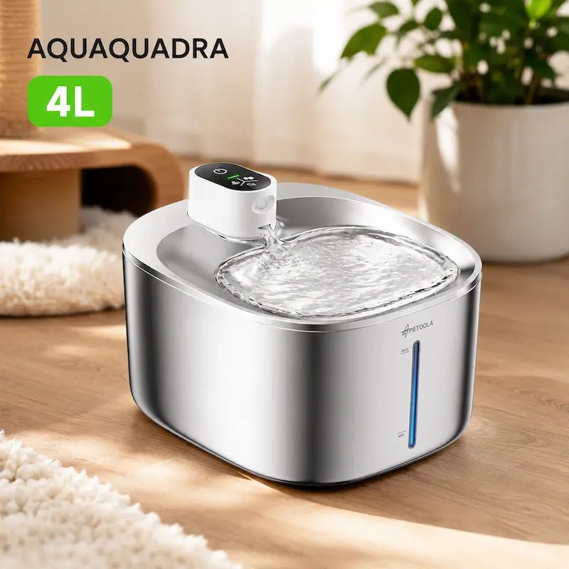Fontaine à eau chat 4L AquaQuadra en inox avec écran et indicateur de niveau