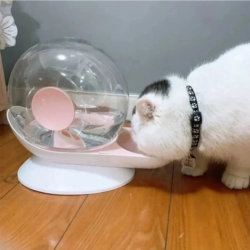 Fontaine à eau chat escargot – Design ludique | SnailFlow