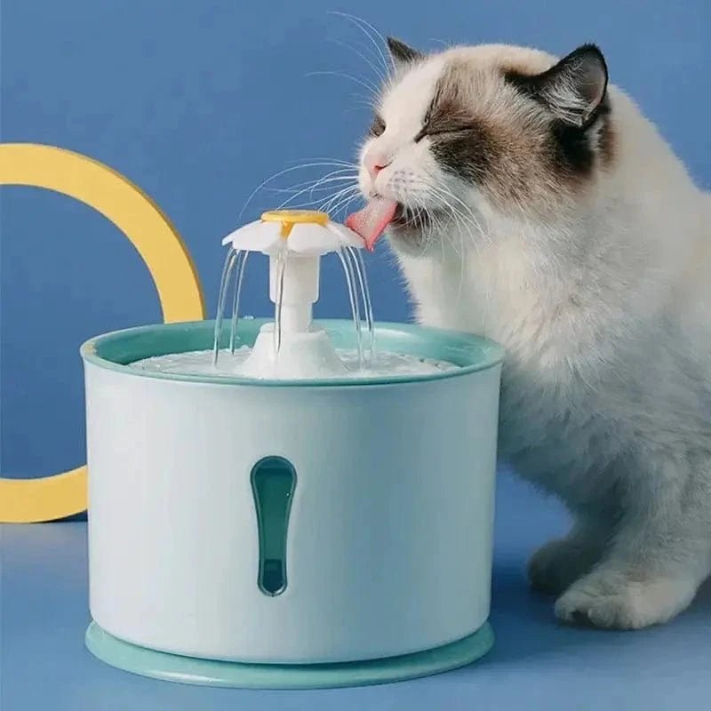 Chat qui boit au jet en pétale de la fontaine à eau chat fleur PetalFlow
