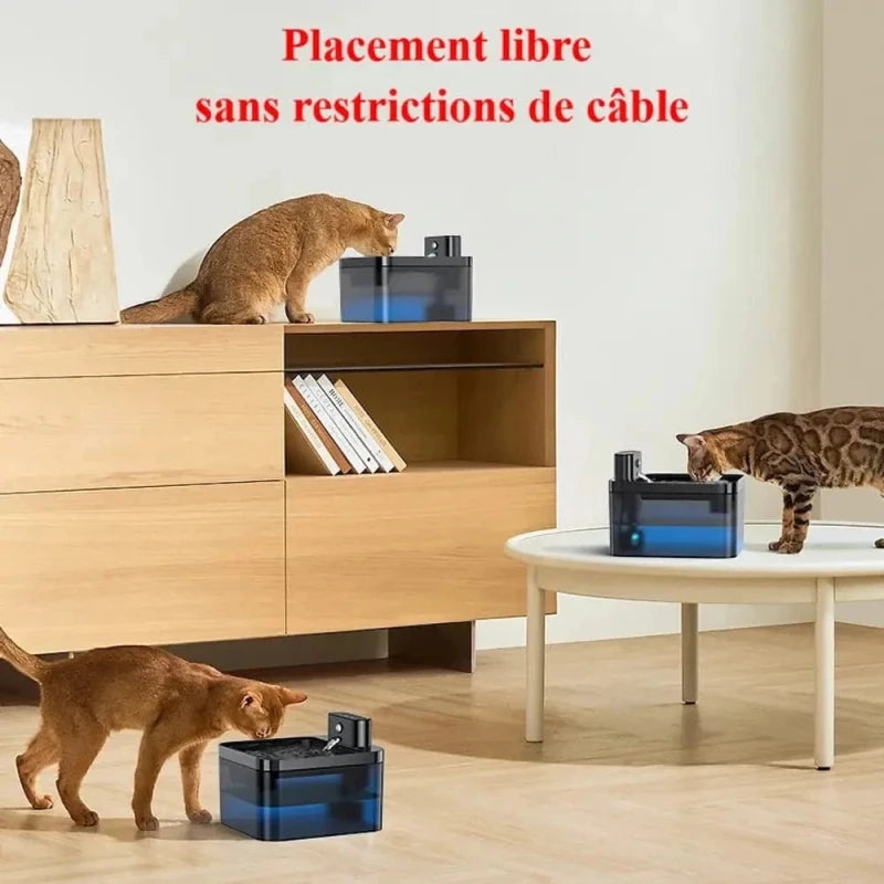Fontaine à eau chat sans fil - Liberté totale | FreeFlow