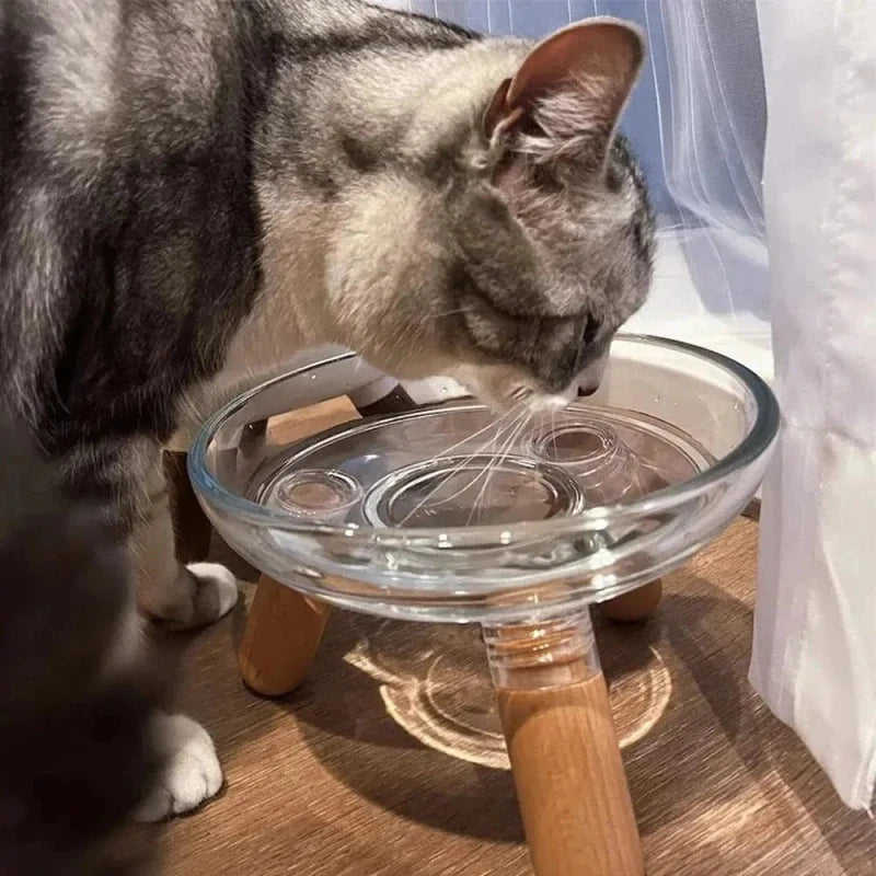Gamelle en verre pour chat - Design & propreté | ZenGlass