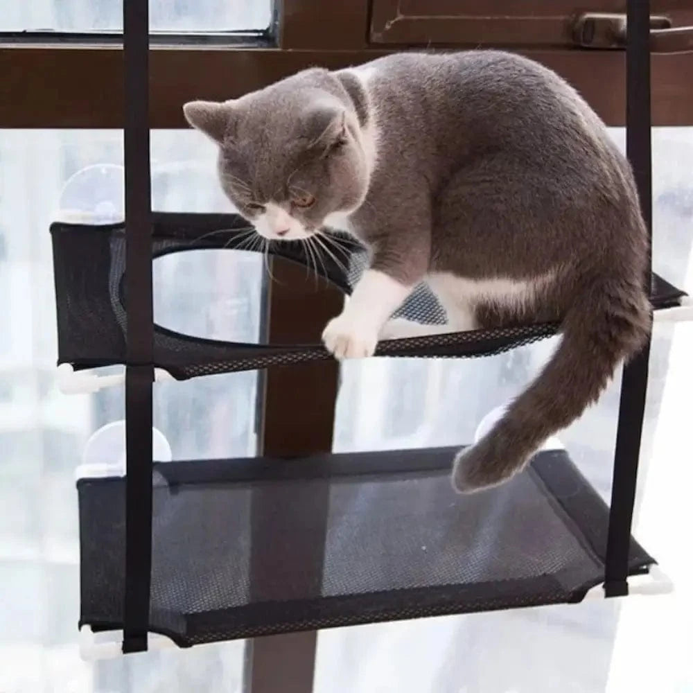 Hamac double pour chat - Repos en hauteur, 2 niveaux spacieux Griffe d'Amour