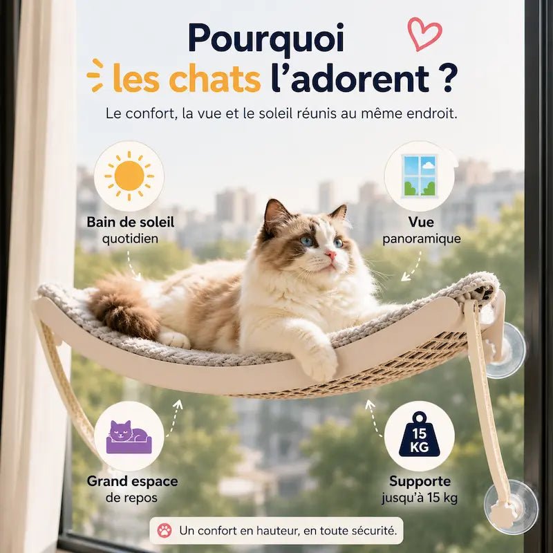 Hamac pour chat ventouse - Vue extérieure | WindowPaws