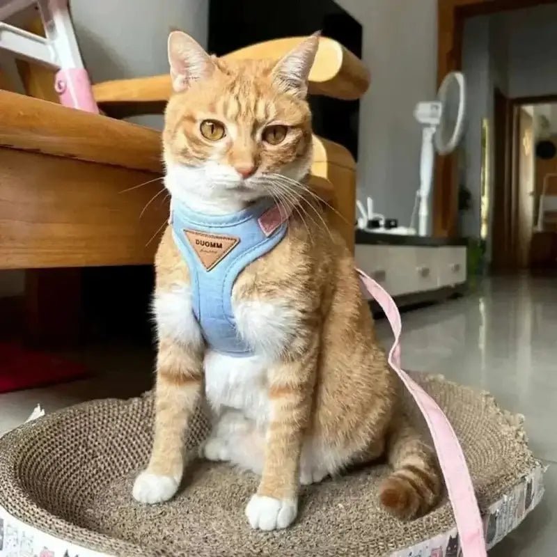Harnais chat Duomm - Ajustable et anti-fugue