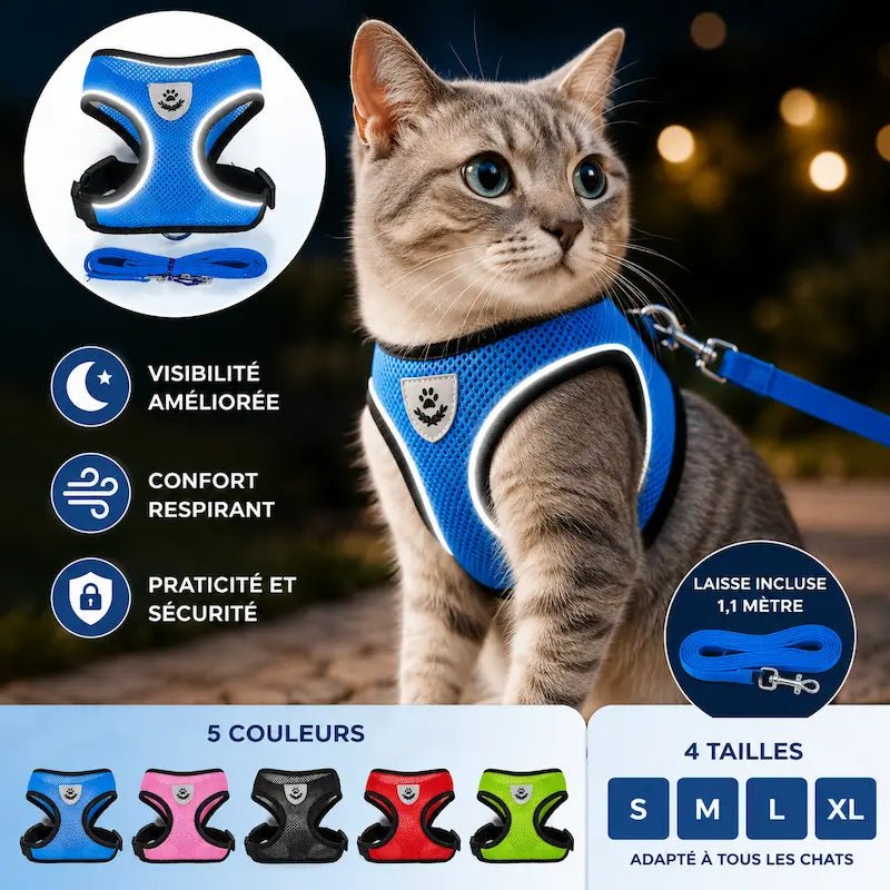 Harnais réfléchissant chat - Visibilité nuit | GlowWalk
