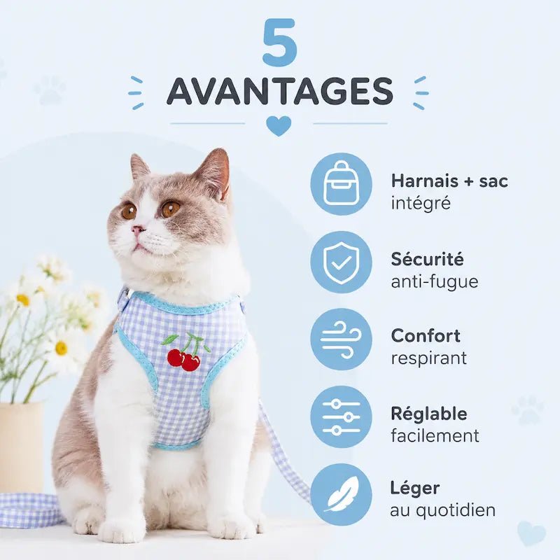 Harnais sac à dos chat – Sécurité & confort | PurrGo