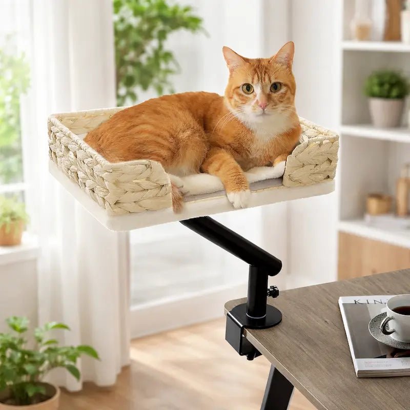 Lit de bureau pour chat – Support rotatif 360° | DeskCat