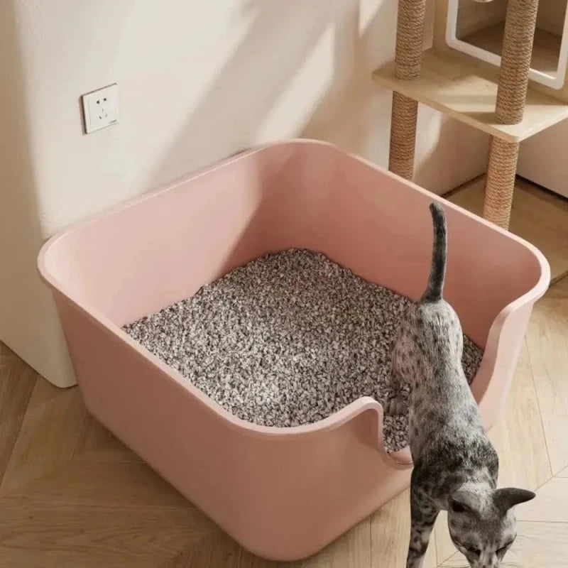 Litière XXL pour Maine Coon – Espace confortable | FéliXL