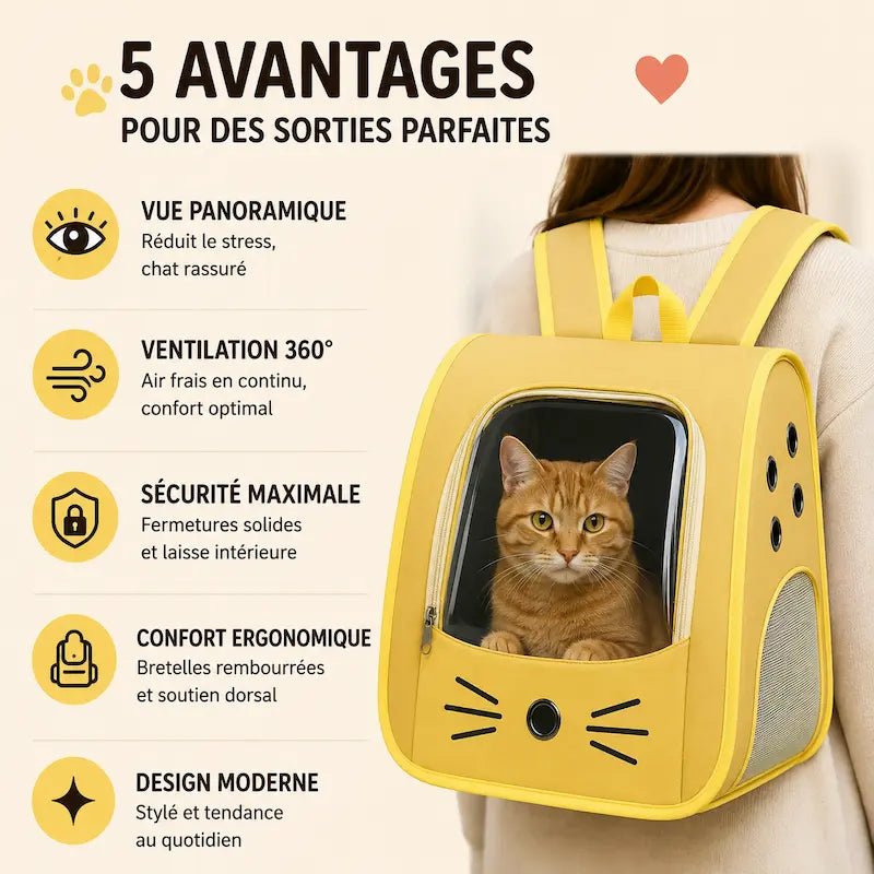 Sac à dos chat transparent - Vue & confort | Purravia
