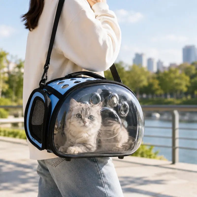Sac de transport transparent pour chat - Vue panoramique | ClearCat
